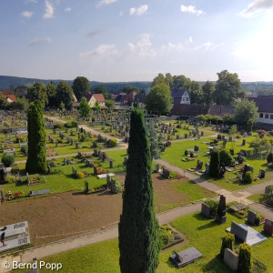 Friedhof_Blickvonoben